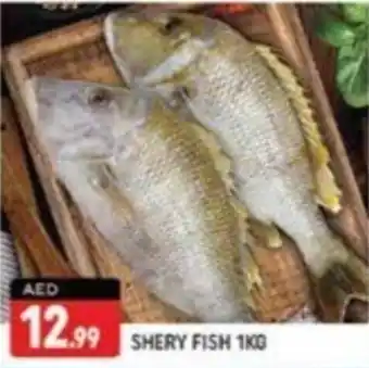 Shaklan SHERY FISH 1KG offer