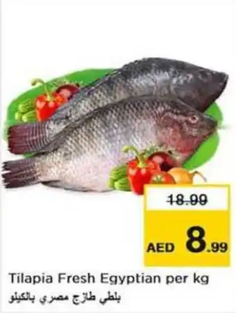 Last Chance Tilapia Fresh per kg offer
