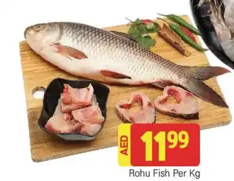 City Retail Supermarket Rohu Fish Per Kg offer