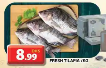 Grand Mall Sharjah FRESH TILAPIA /KG offer