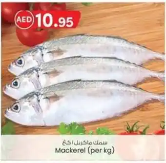 KM Trading Mackerel (per kg) offer