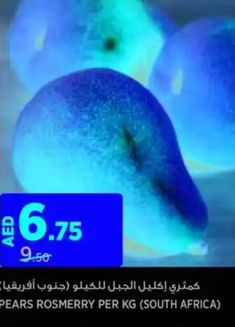 Aswaaq PEARS ROSMERRY PER KG offer