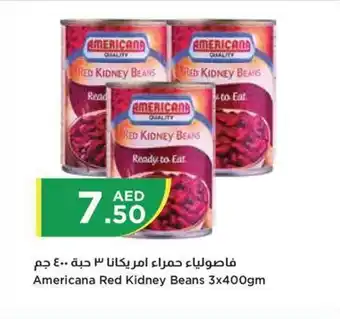 Istanbul Supermarket Americana Red Kidney Beans 3x400gm offer