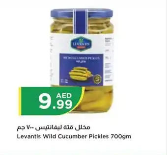 Istanbul Supermarket Levantis Wild Cucumber Pickles 700gm offer