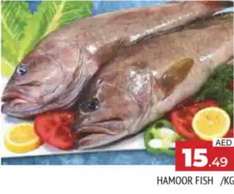 Al Madina Hypermarket HAMOOR FISH KG offer
