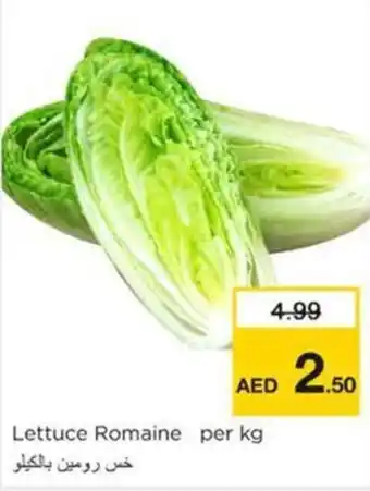 Nesto Lettuce Romaine per kg offer