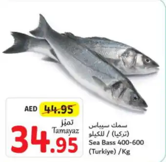 Union Coop Sea Bass 400 600 Kg offer