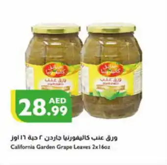 Istanbul Supermarket California Garden Grape Leaves 2x16oz offer