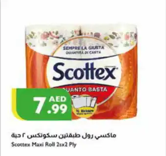 Istanbul Supermarket Scottex Maxi Roll 2sx2 Ply offer