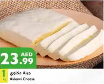 Istanbul Supermarket Akkawi Cheese offer