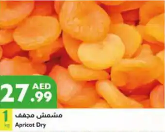 Istanbul Supermarket Apricot Dry offer