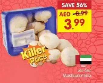 Gala Supermarket Mushroom Box offer