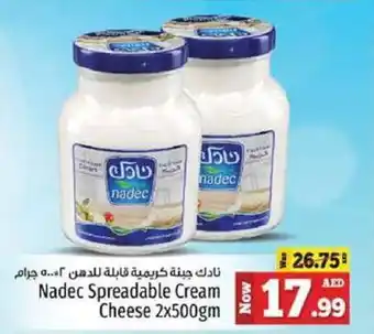 Kenz Hypermarket Nadec Spreadable Cream Cheese 2x500gm offer