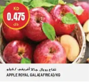 Grand Mall Sharjah APPLE ROYAL GALA (AFRICA) / KG offer
