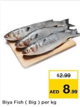 Nesto Biya Fish (Big) per kg offer