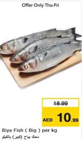 Nesto Biya Fish Big per kg offer