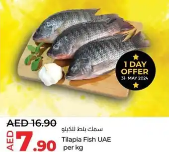 Lulu Hypermarket Tilapia Fish per kg offer