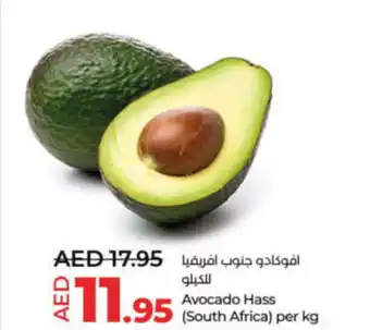 Lulu Hypermarket Avocado Hass per kg offer