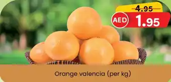 KM Trading Orange valencia per kg offer