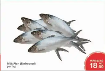 Choithrams Milk Fish per kg offer