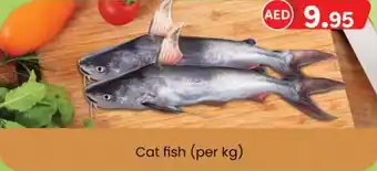 KM Trading Cat fish per kg offer