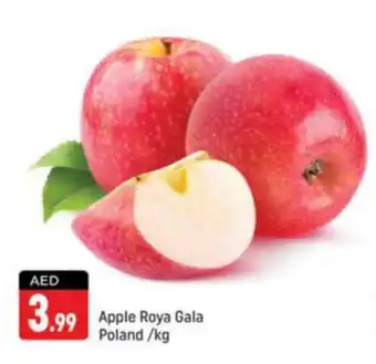 Shaklan Apple Roya Gala kg offer