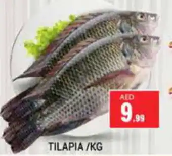 Pasons TILAPIA KG offer