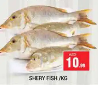Pasons SHERY FISH KG offer