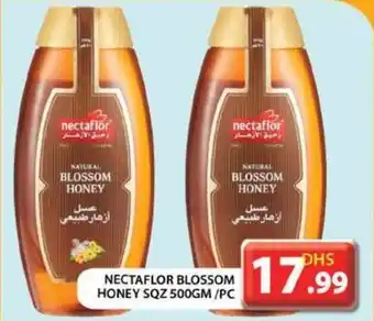Grand Hyper Market NECTAFLOR BLOSSOM HONEY SQZ 500GM PC offer