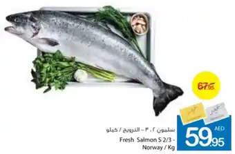 Ajman Market Fresh Salmon S 2/3 / kg offer