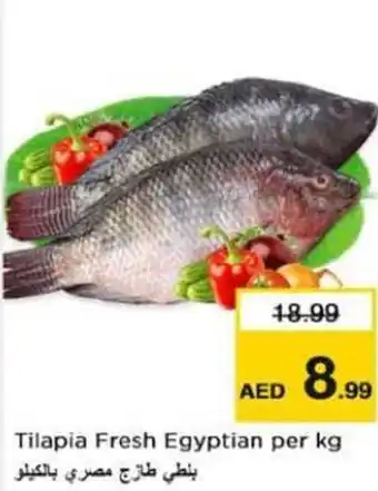 Last Chance Tilapia Fresh per kg offer