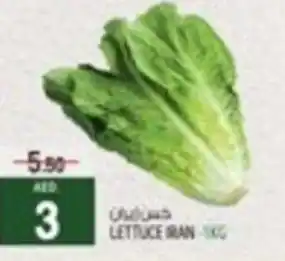Safari Hypermarket LETTUCE offer