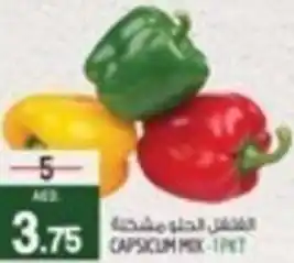 Safari Hypermarket CAPSICUM MIX offer