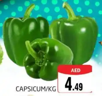 Pasons CAPSICUM / KG offer