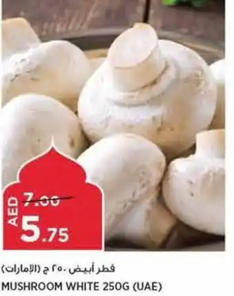 Aswaaq MUSHROOM WHITE 250G offer