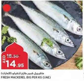 Aswaaq FRESH MACKEREL BIG PER KG offer