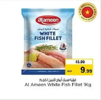 Nesto Al Ameen White Fish Fillet 1Kg offer