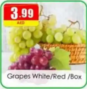 Amber Grapes White/Red/Box offer