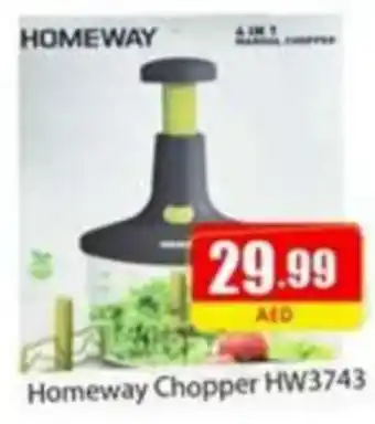 Amber Homeway Chopper HW3743 offer