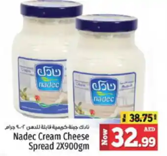 Kenz Hypermarket Nadec Cream Cheese Spread 2X900gm offer