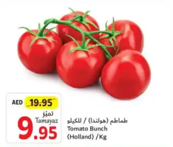 Union Coop Tomato Bunch Kg offer
