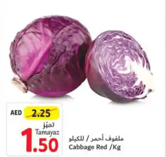Union Coop Cabbage Red Kg offer