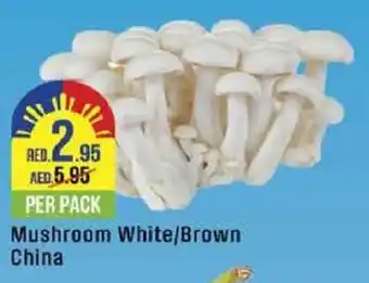 West Zone Supermarket Mushroom White / Brown China offer