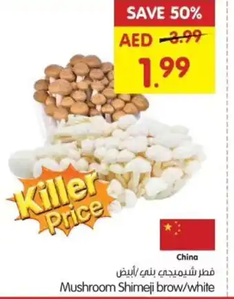 Gala Supermarket Mushroom Shimeji brow/white offer