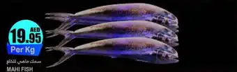 Almaya supermarket MAHI FISH offer