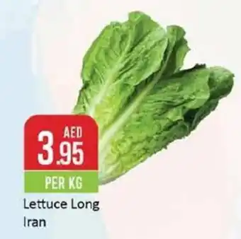 West Zone Supermarket Lettuce Long PER KG offer