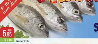 West Zone Supermarket Naiser Fish PER KG offer