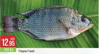 West Zone Supermarket Tilapia Fresh PER KG offer