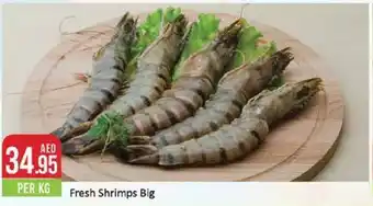West Zone Supermarket Fresh Shrimps Big PER KG offer