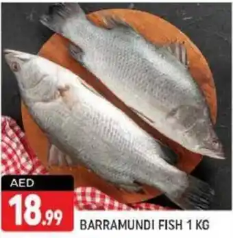 Shaklan BARRAMUNDI FISH 1 KG offer